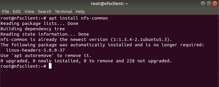 How to Install and Configure an NFS Server on Ubuntu 18.04 Using 11 Easy Steps 8