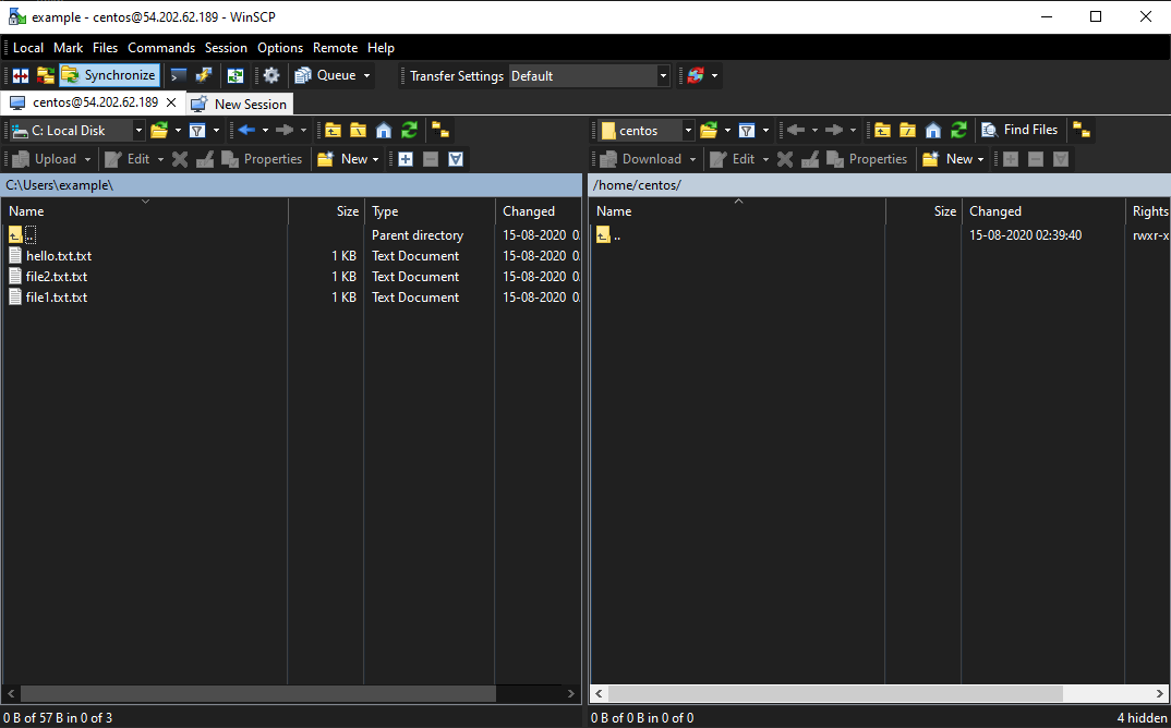 How to Transfer Files to AWS EC2 Instance Using WinSCP in 3 Easy Steps 122