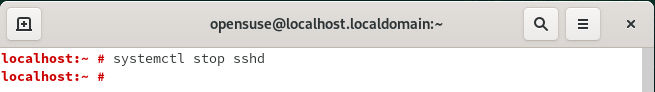 How to Start and Enable SSHD Service in OpenSUSE Linux 4