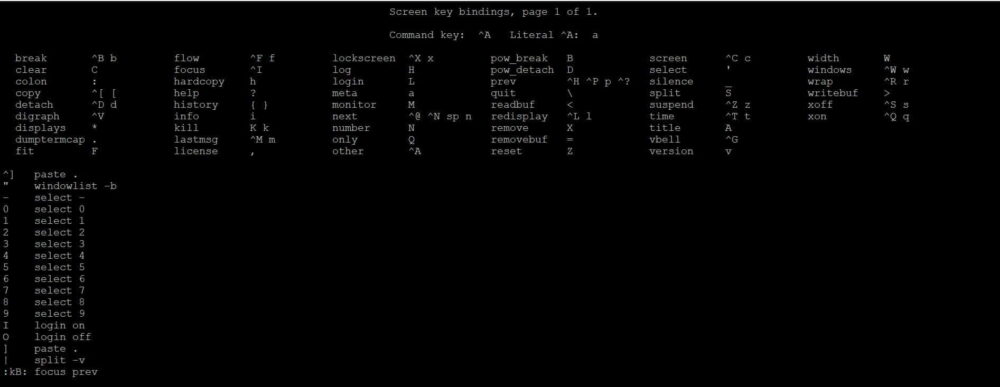17 Popular Linux Screen command examples to Manage Terminals Sessions 2