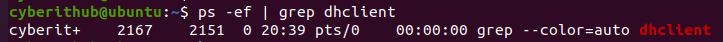 How to Release old IP or force Renew DHCP lease IP in Linux 6