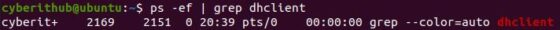 How to Release old IP or force Renew DHCP lease IP in Linux 8