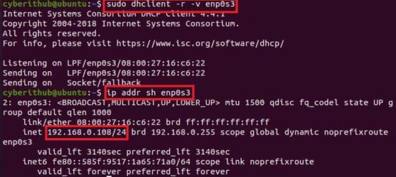 How to Release old IP or force Renew DHCP lease IP in Linux 5