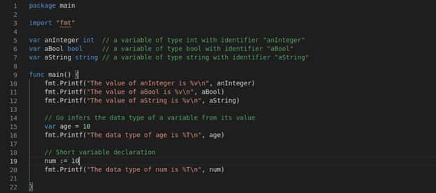 Basic Structure And Data Types in Go [Complete Tutorial] 5