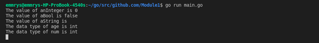 Basic Structure And Data Types in Go [Complete Tutorial] 6