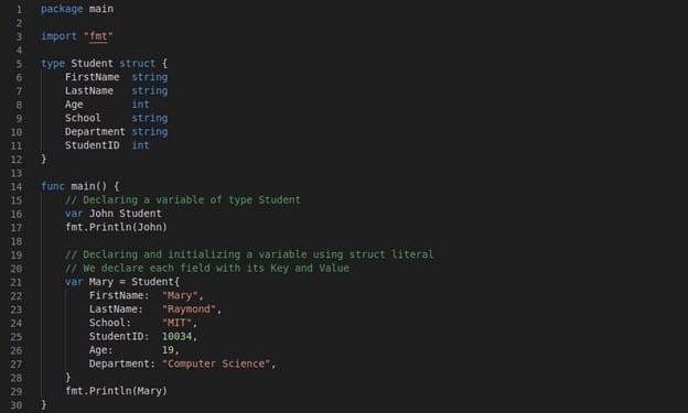 How to use Structures in Golang [Complete Tutorial] 30