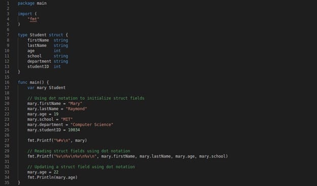 How to use Structures in Golang [Complete Tutorial] 335