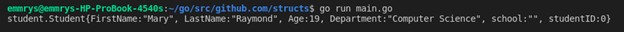 How to use Structures in Golang [Complete Tutorial] 16