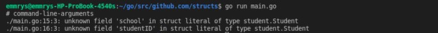 How to use Structures in Golang [Complete Tutorial] 18