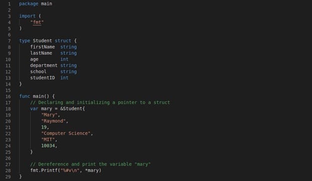 How to use Structures in Golang [Complete Tutorial] 19