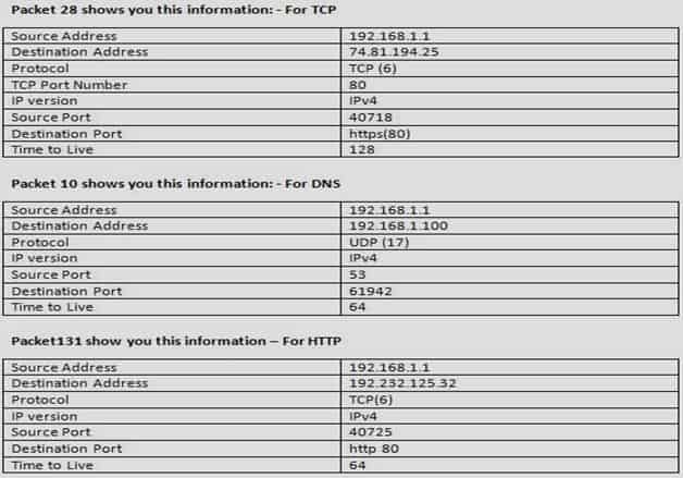 How to Use Wireshark Interface [Complete Tutorial with examples] 24