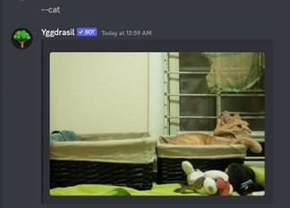 How to Use Yggdrasil Discord Bot [Yggdrasil Bot Commands] 45