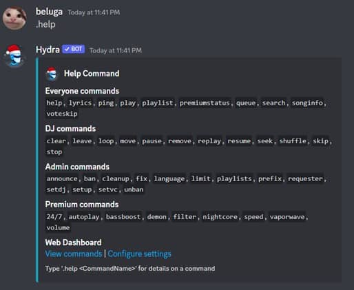How to Add and Use Hydra Discord Music Bot 10