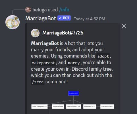 How to Use MarriageBot [MarriageBot Commands with Examples] 23