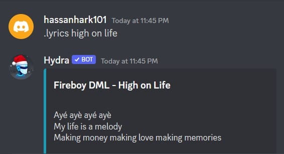 How to Add and Use Hydra Discord Music Bot 15
