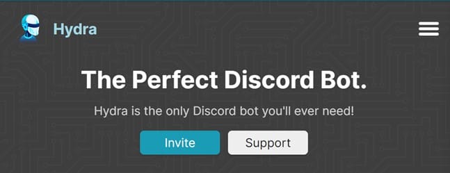 How to Add and Use Hydra Discord Music Bot 4