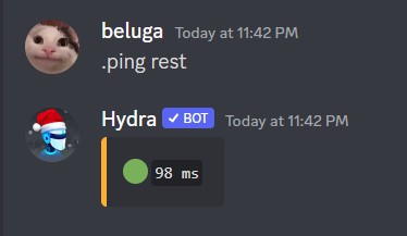 How to Add and Use Hydra Discord Music Bot 13