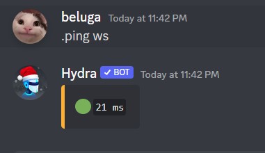 How to Add and Use Hydra Discord Music Bot 12