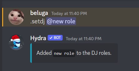 How to Add and Use Hydra Discord Music Bot 9