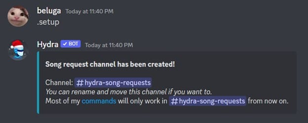How to Add and Use Hydra Discord Music Bot 8