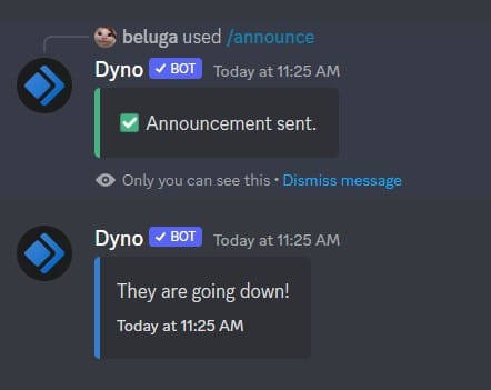 How to Use Dyno Discord Bot [Dyno Bot Commands] 16