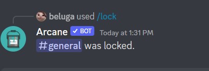 How to Use Arcane Discord Bot [Arcane Bot Commands] 21