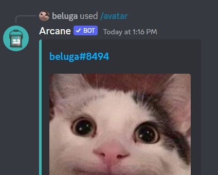 How to Use Arcane Discord Bot [Arcane Bot Commands] 3
