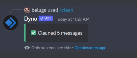 How to Use Dyno Discord Bot [Dyno Bot Commands] 21