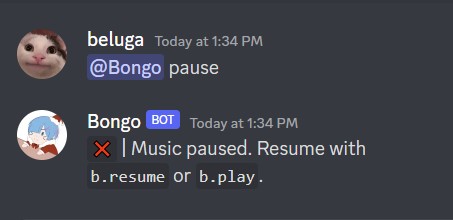 How to Use Bongo Discord Bot [Bongo Bot Commands] 31