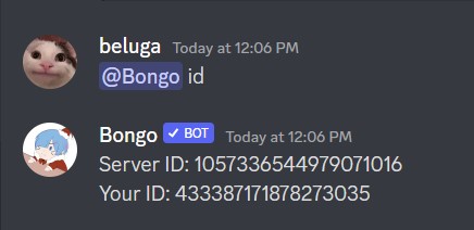 How to Use Bongo Discord Bot [Bongo Bot Commands] 10