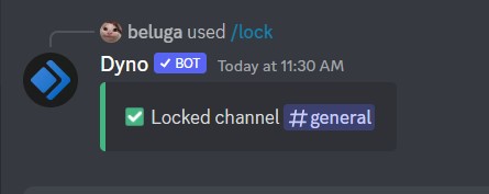How to Use Dyno Discord Bot [Dyno Bot Commands] 32