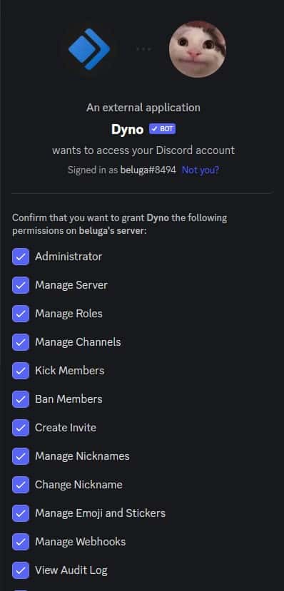 How to Use Dyno Discord Bot [Dyno Bot Commands] 6
