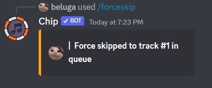 How to Use Chip Discord Bot [Chip Bot Commands] 12