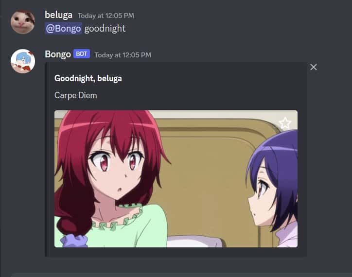 How to Use Bongo Discord Bot [Bongo Bot Commands] 9