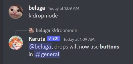How to Use Karuta Discord Bot [Karuta Bot Commands] 10