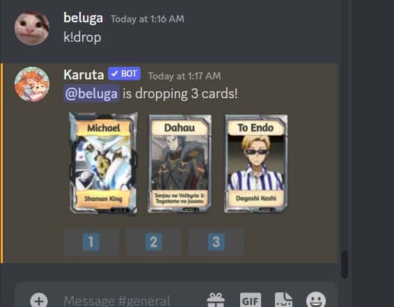How to Use Karuta Discord Bot [Karuta Bot Commands] 14