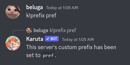 How to Use Karuta Discord Bot [Karuta Bot Commands] 6