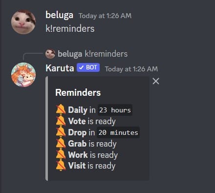 How to Use Karuta Discord Bot [Karuta Bot Commands] 23