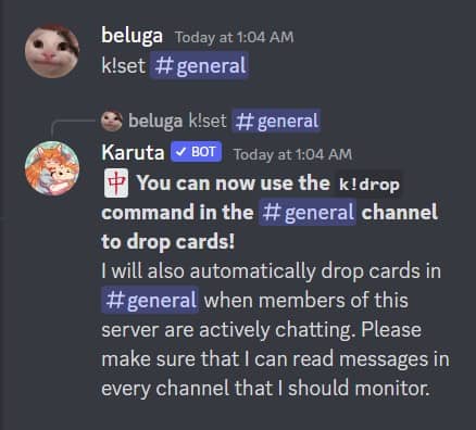How to Use Karuta Discord Bot [Karuta Bot Commands] 5