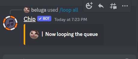 How to Use Chip Discord Bot [Chip Bot Commands] 13