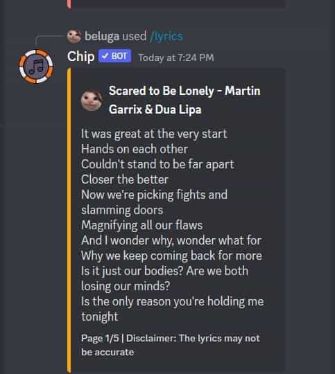 How to Use Chip Discord Bot [Chip Bot Commands] 14