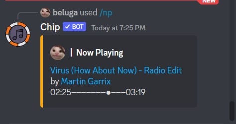 How to Use Chip Discord Bot [Chip Bot Commands] 17