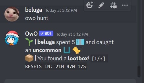 How to Use OwO Discord Bot [OwO Bot Commands] 13
