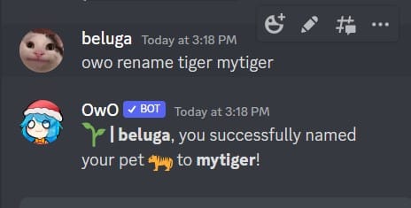 How to Use OwO Discord Bot [OwO Bot Commands] 19