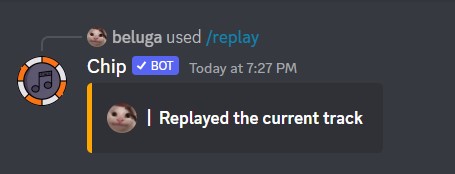 How to Use Chip Discord Bot [Chip Bot Commands] 24