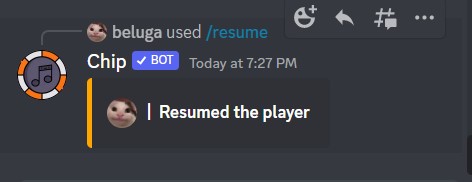How to Use Chip Discord Bot [Chip Bot Commands] 25