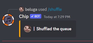 How to Use Chip Discord Bot [Chip Bot Commands] 28
