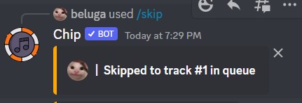 How to Use Chip Discord Bot [Chip Bot Commands] 29