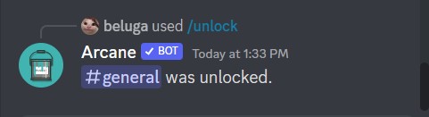 How to Use Arcane Discord Bot [Arcane Bot Commands] 25