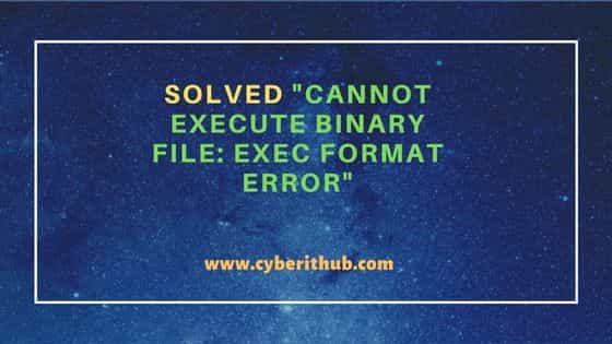 Solved "cannot execute binary file: Exec format error"